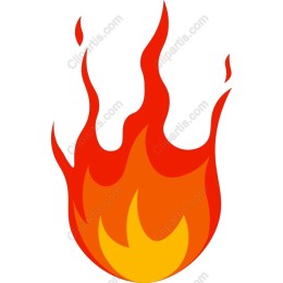 Vibrant Flame