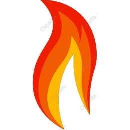 Vibrant Flame