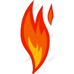 Vibrant Flame