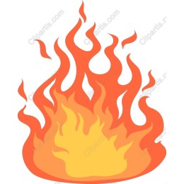 Vibrant Flame