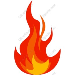 Vibrant Flame
