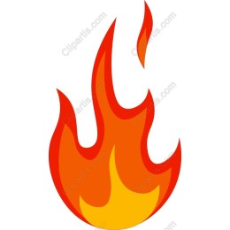 Vibrant Flame