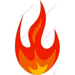 Vibrant Flame