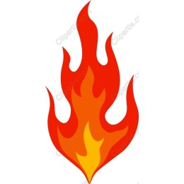 Vibrant Flame