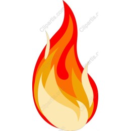 Vibrant Flame