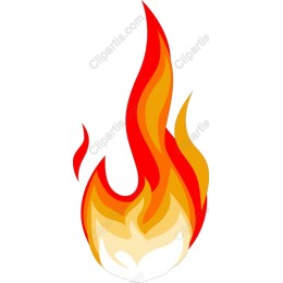 Vibrant Flame