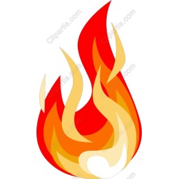 Vibrant Flame