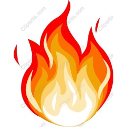 Vibrant Flame