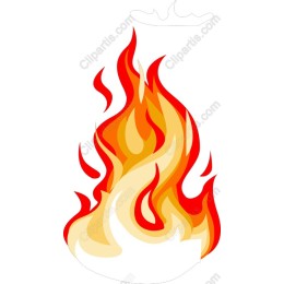Vibrant Flame