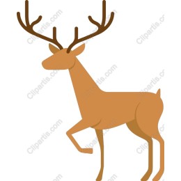 Majestic Deer Walking
