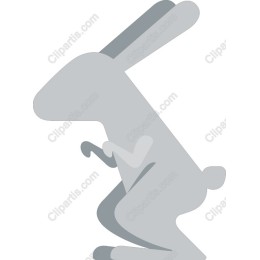 Gray Rabbit