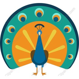 Vibrant Peacock
