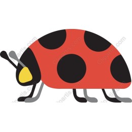 Vibrant Ladybug