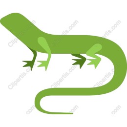 Green Lizard