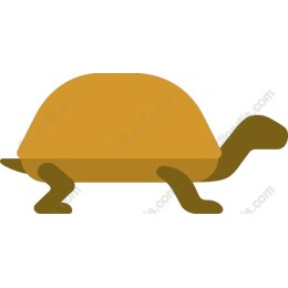 Charming Turtle