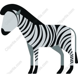  Zebra