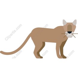 Stylized Wild Cat