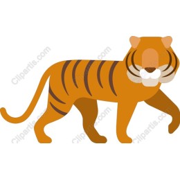 Vibrant Tiger