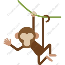 Cheerful Monkey
