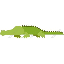 Charming Crocodile
