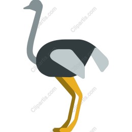 Ostrich - Sleek and Modern