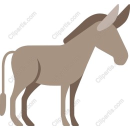 Charming Donkey