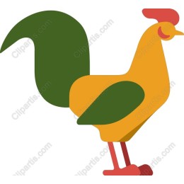 Vibrant Rooster
