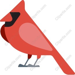 Vibrant Cardinal