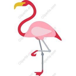 Vibrant Pink Flamingo