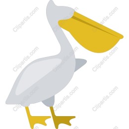 Charming Pelican