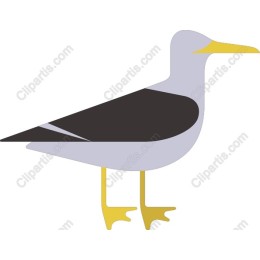 Minimalist Seagull