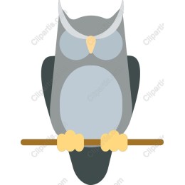 Charming Owl