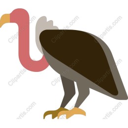 Vibrant Vulture