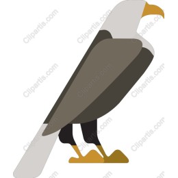 Majestic Bird of Prey