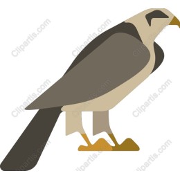 Majestic Bird
