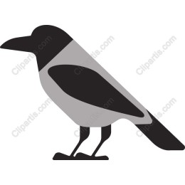 Minimalistic Crow