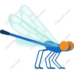 Colorful Dragonfly