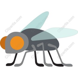 Stylized Fly