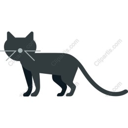 Minimalist Cat