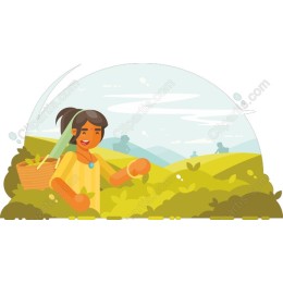 Joyful Harvest