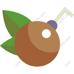 Tropical Coconut Drink