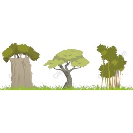 Nature's Essence: Tree Collection
