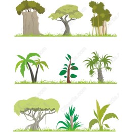 Tropical Plant Collection