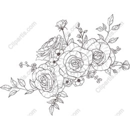 Elegant Line Art Floral - Roses and Foliage
