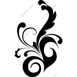 Elegant Floral Swirl
