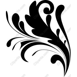 Elegant Black Floral
