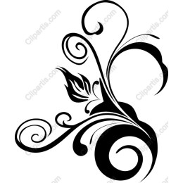 Elegant Decorative Flourish