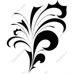 Elegant Black Paisley