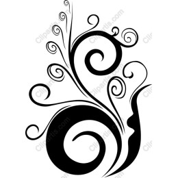 Elegant Swirl