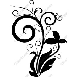 Elegant Floral Swirl